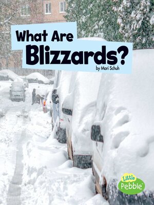 cover image of What Are Blizzards?